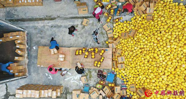 ������ġ�˫11��