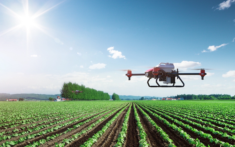 ���ݣ����ڴ����� ��������æ