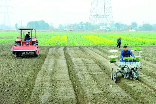 ����ũʱ������ ��������������