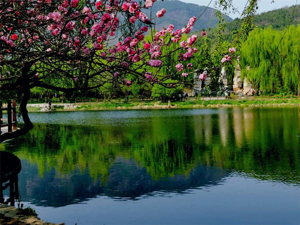 <b>ֲ԰ʻԺ ɫ(ͼ)</b>