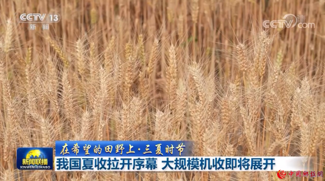 �ҹ�����������Ļ ���ģ���ռ���չ��