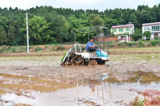 ��ù�ˮ����ǰ���� �Ĵ����ʵ����ǰ�������š�