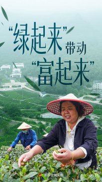 �������������������������������ɽ������ɽ��ʵ�����»��ع۲�