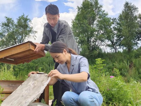 �ǻ���������ũ���조������ҵ��