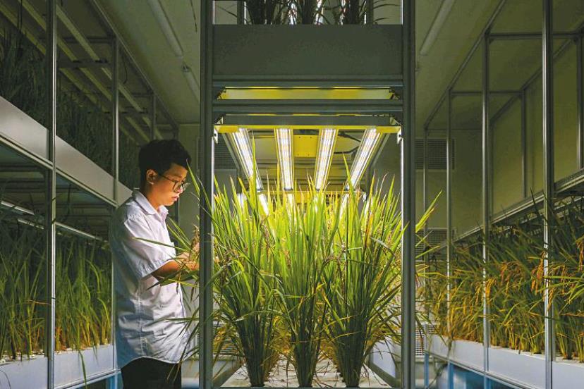 �ɹ�ģ��̫���� ���ա����츮������δ��