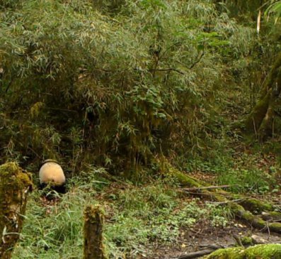 �Ĵ������ط�Ͱկ������ 4����3���ĵ�����èĸ��ͬ����