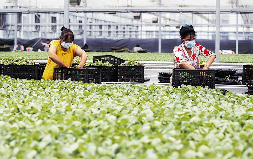 ���ߡ��������� ���������ɾ���