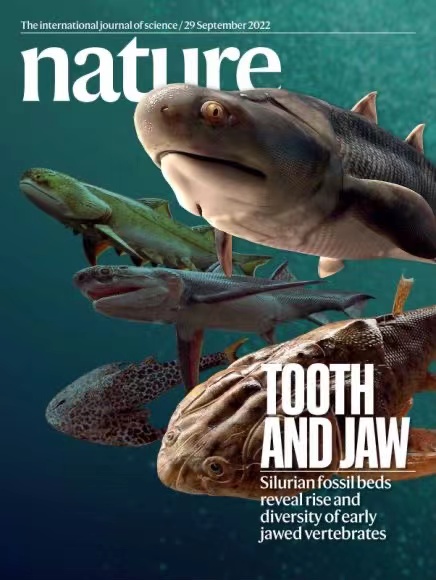 ʶѧڿNature档й滮ȻԴֹͼ
