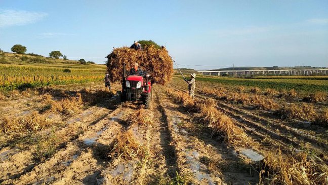 ɽ����ܿ�����ռ����á���˼�������������