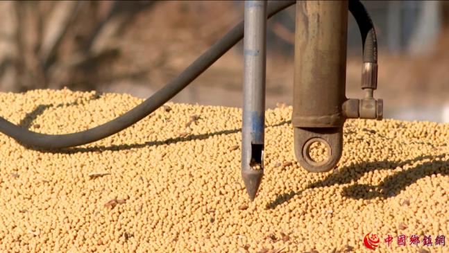 ����գ�������ʡ���������������� �����չ�һ�߼���