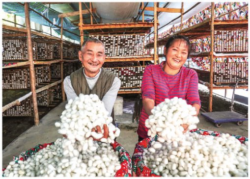 һֻ���³���������¡�˿·�� ����ǭ����ɣ��ҵ��չһ�߹۲�