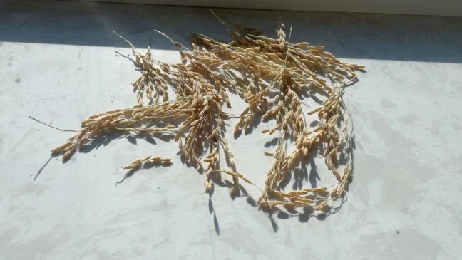 ʮ�����ᣡ�й�������һ��ʡ�����й�����