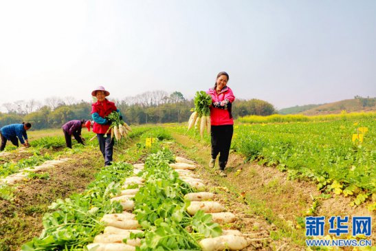 ����ȫ�ϣ��������� ���ߡ�ͨ����