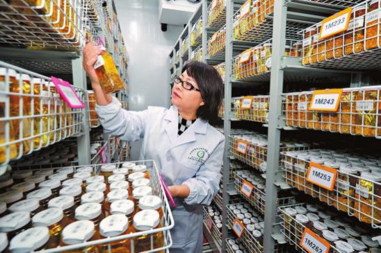 ���ϣ�����������Դ ������ʳ��ȫ