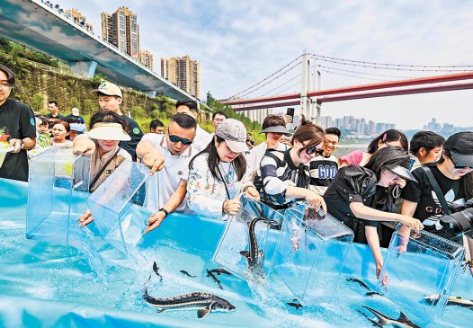 ȫ�������� ����״���������