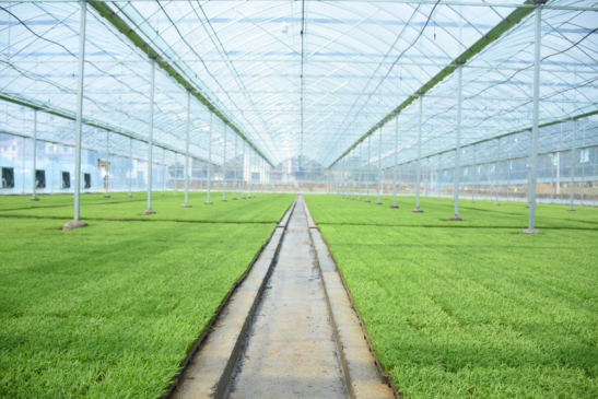 ����������ũҵ��׼�� ������ϣ��