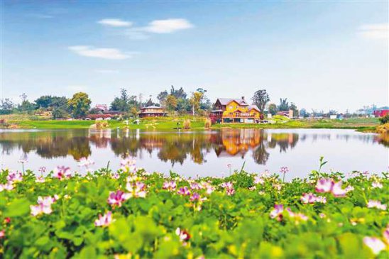 �����Ĵ塱�����Ϲ�Ʈ�������԰