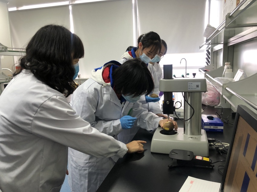 在中国―新西兰猕猴桃“一带一路”联合实验室，老师正在指导学生做实验。 四川省自然资源科学研究院供图