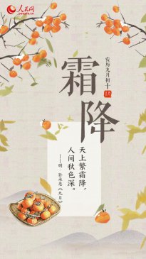 ����˪����ͣ��������������˪Ҷ���ڶ��»�