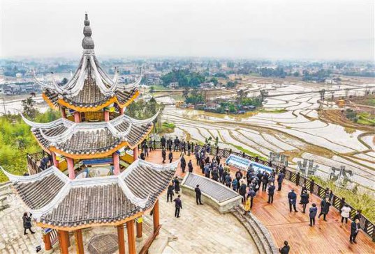 �ֺá������ ���������