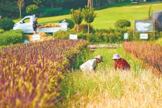 <b>������ɫ����ǿ�� �ƽ���ǿ����塱</b>