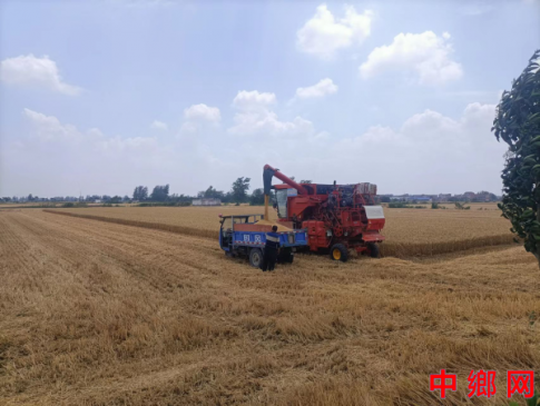 ���ո�������ׯ��ȫ��ץ�á����ġ���ȫ��������