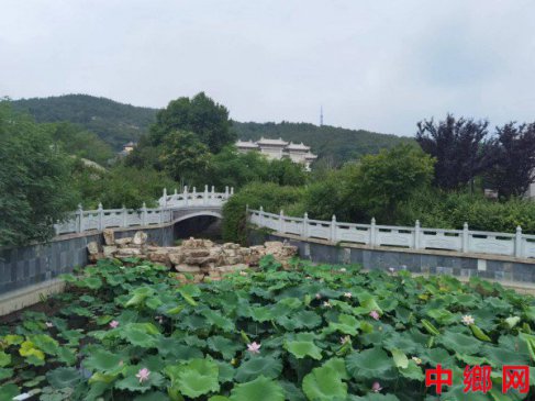 羰߶