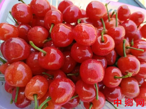 ǣСӣҡ족塪һŹʵ