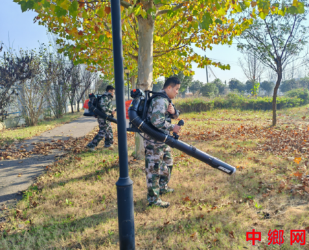 նԶɣ򣺿չɭַʵս