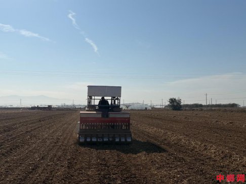 񶬲ɣꡰᡱڡضּܻ