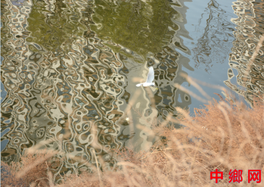 ���Ӱ��������� �����ڻ��ػ��������Ȼ��г������ͼ