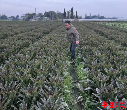 ���ӽ���80����ũ������������Ұ ��ʵ��Ϊũҵ��չ��