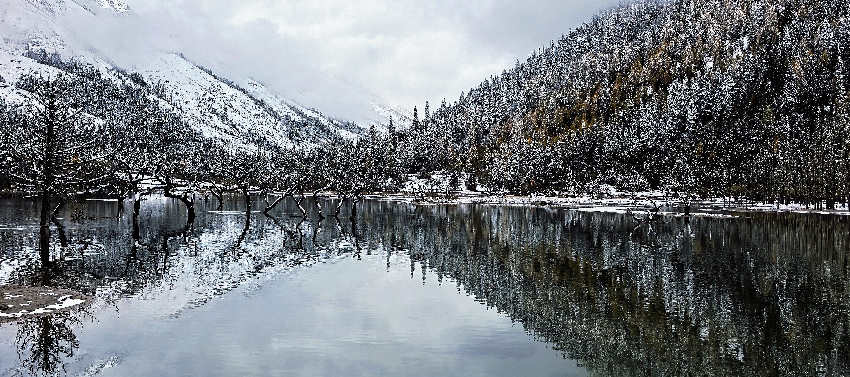 美丽四川。四川省林草局供图