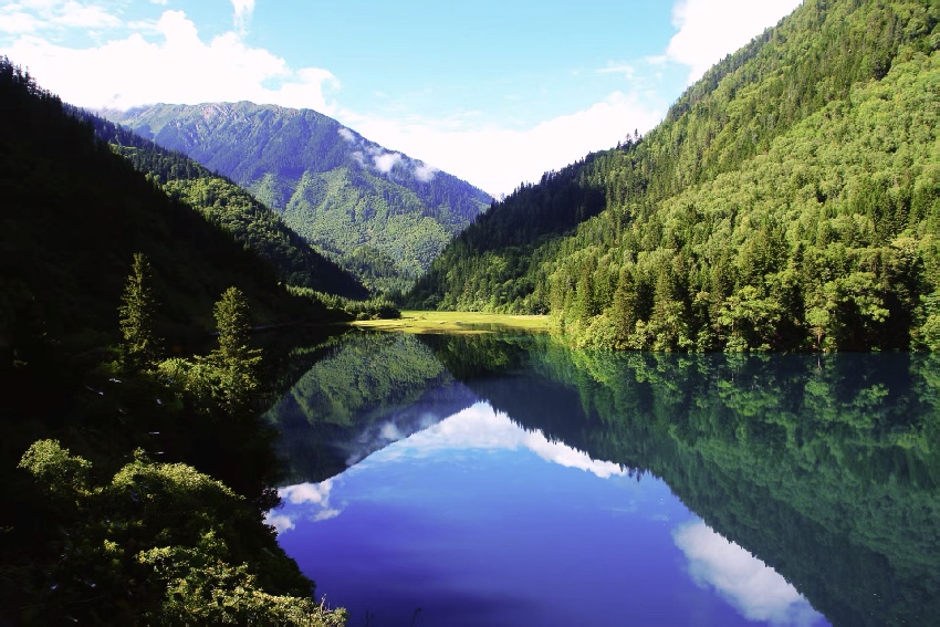 美丽四川。四川省林草局供图