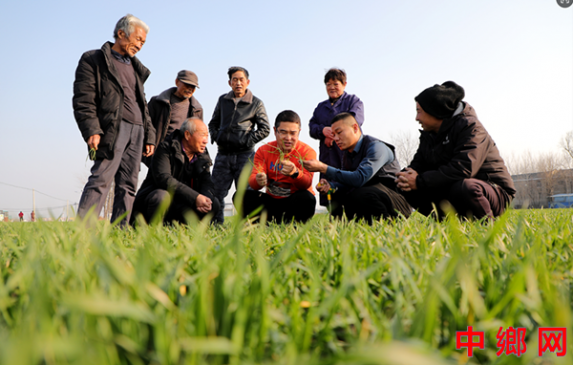 �Ƽ���ܱ�����