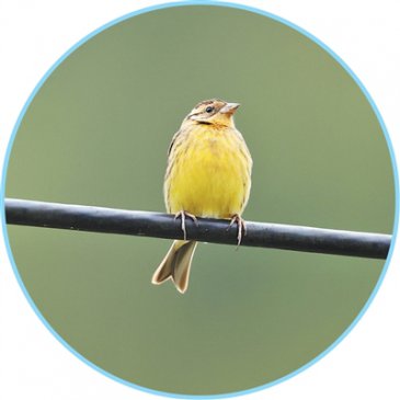 ������������һ���ش�Σ����󡢱�ΣҰ�����ﰸ