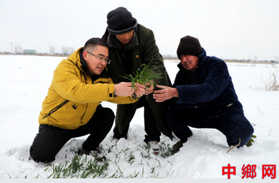 ���ո�����ѩ�ش���