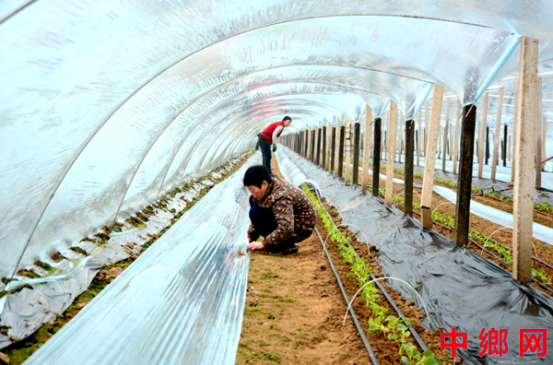 �����ڻ��ؿƼ������紺������� ����������ʩũҵ������Ч