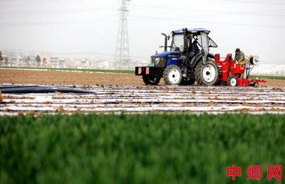 ���ո���������������æ