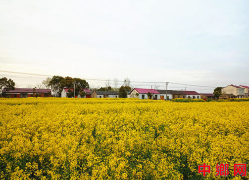 ����®���ع������Ͳ˻������á��ᡱ��