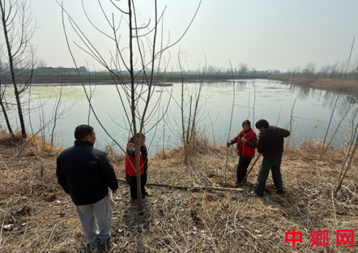 ���շ��������������Э��չ��ֲ�̻��̣���ϵ�������