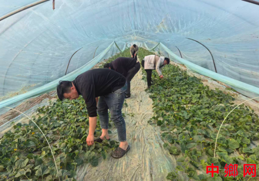 ���ջ�Զ����������ǧĶ����ַ�������