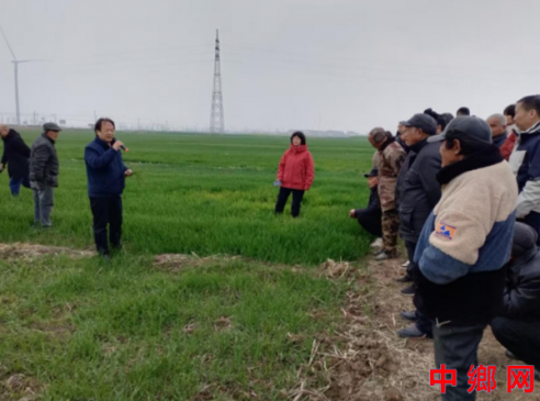 ������ӣ�ũ��ר�ҽ���� ����С��������