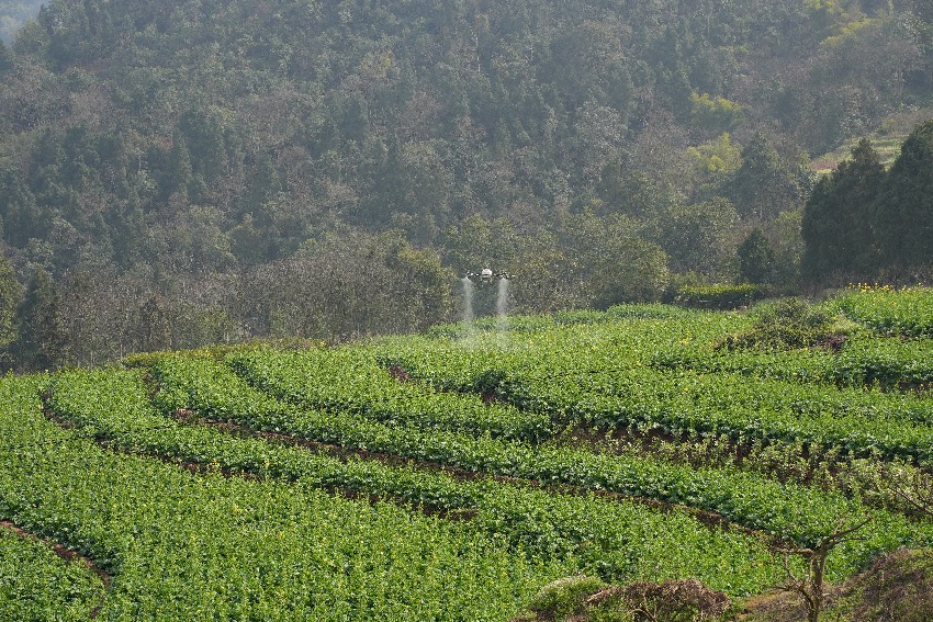 �Ͳ˻������ڴ�ҩ���ܷ��߹�ͼ