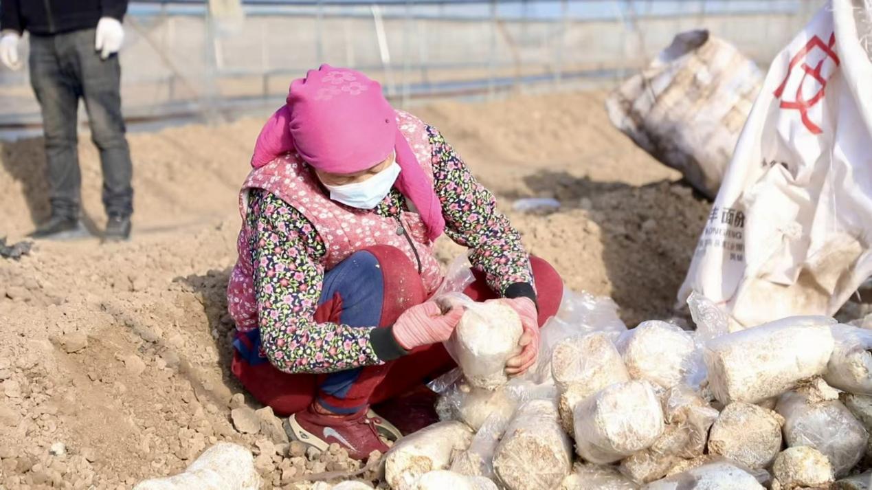 ũ���ڼ��ſھ��������¸�����¡����