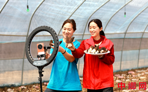 ���ո�����ֱ����ũ����·