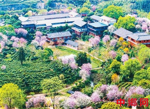 �������ѡ����������