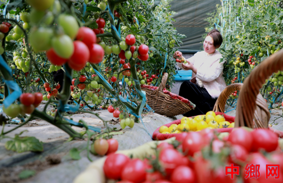 ���ո�������ժʥŮ��