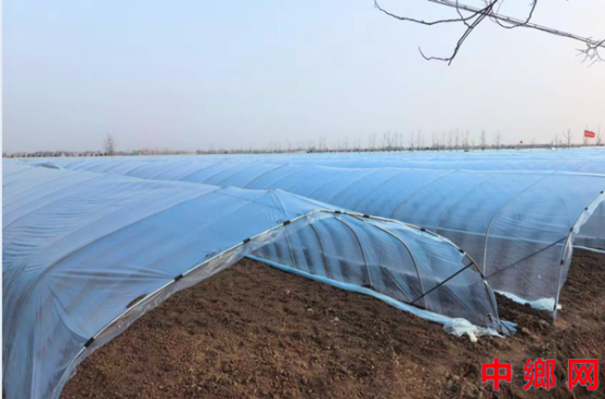 ���ջ�Զ�����򣺴�����С��  ����ϲɷ��