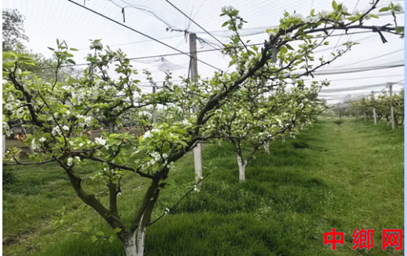 ����®���ع����򣺰�Ķ�滨�� ��ӯ�á�Ǯ����